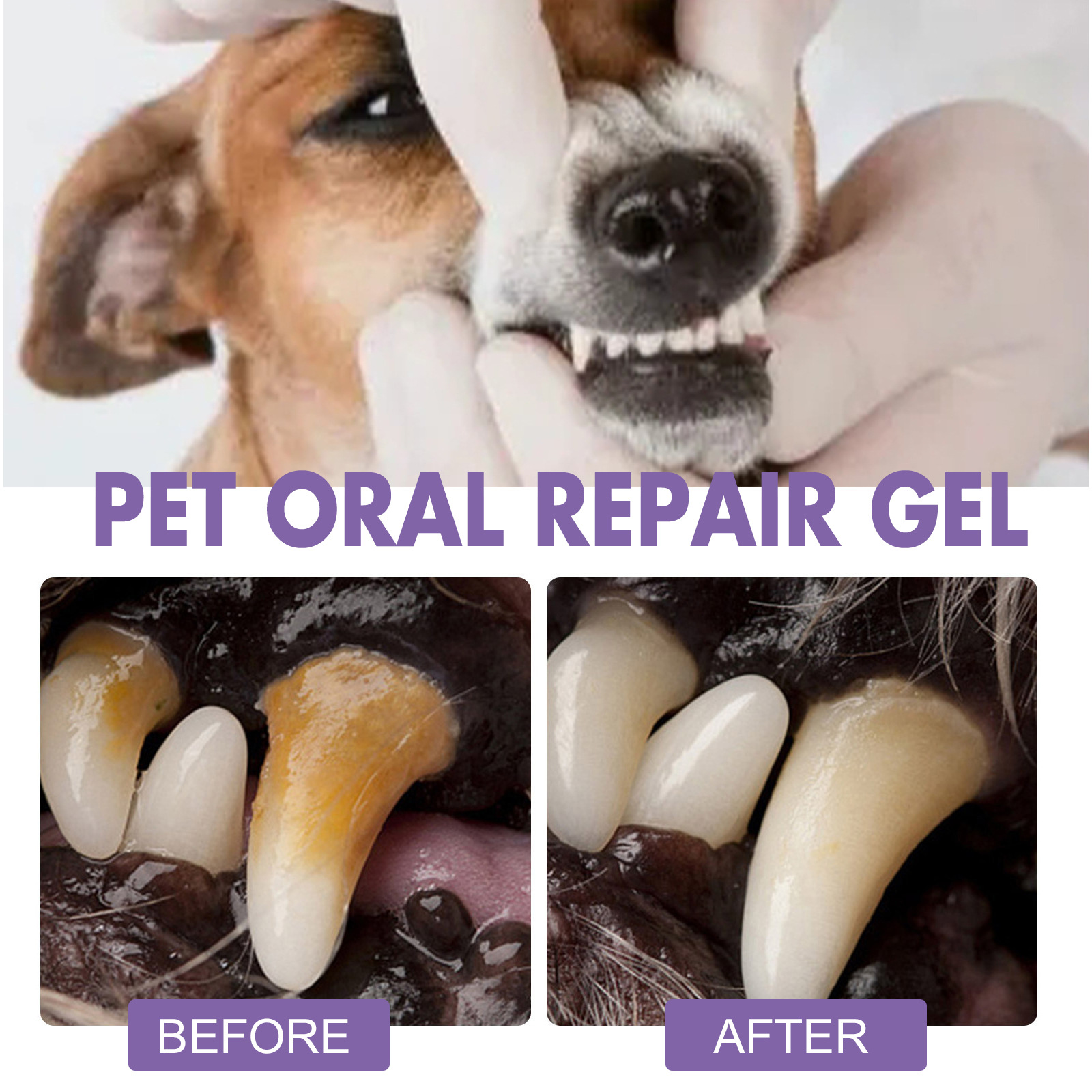 Pet Oral Repair Gel Puppy Tart - đánh giá và giá Teeth Whitening Results